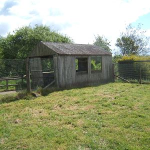 View of Wallaby Walk through
