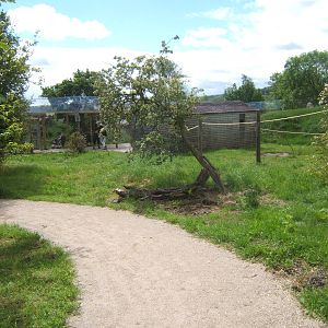 View inside Lemur walk through