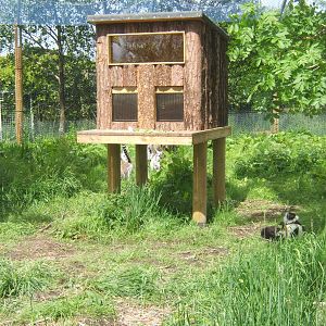 View of Lemur Walk through