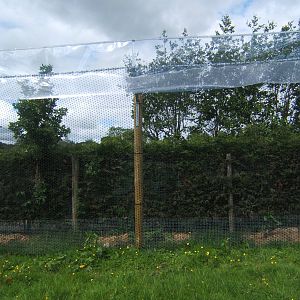 View of fencing round Lemur Walk through