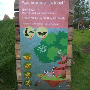 How to make a friend