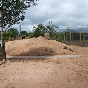 Future Meerkat walk through