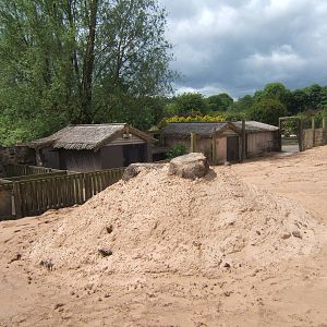 Future Meerkat walk through