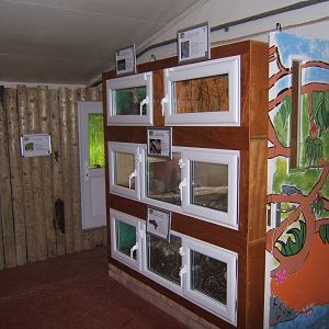 View inside the new Reptile House