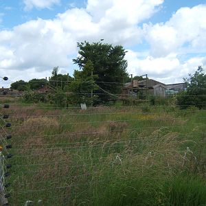 View of lemur enclosure