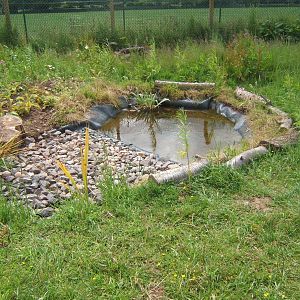 Wildlife pond