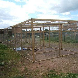 New Owl aviarys to house World Owl Trust Owls