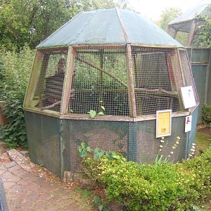 Chaco Owl aviary