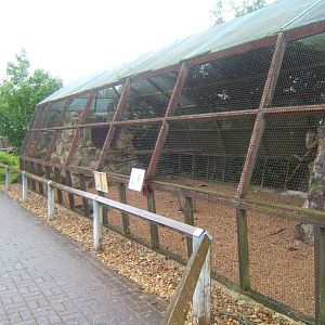 European Eagle Owl Aviary