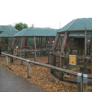 View of Owl Aviarys