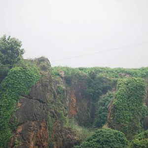 Distant Barbary Macaques at Cabarceno, 11/06/15