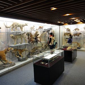 Museum of Biological Specimens Beijing Normal University
