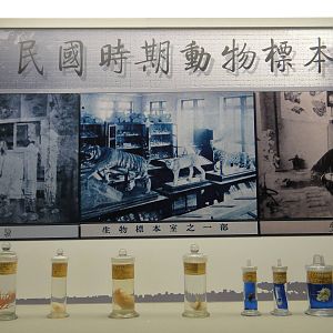 Specimens made in the period of ROC