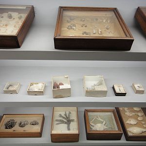 Museum of Biological Specimens Beijing Normal University