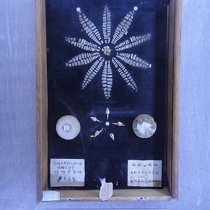 student work in 1908 (Qing Dynasty)