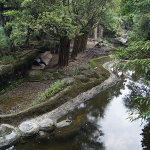 Malayan tapir/muntjac/gibbon enclosure