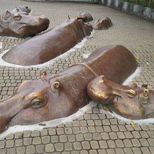 Hippo statues