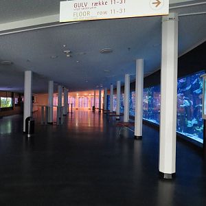 Aquarium tanks, June 2015.