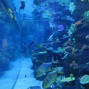 Side view of the main tank, June 2015.