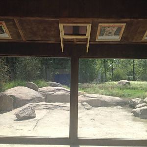 New Lion Enclosure.
