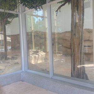 Indoor Lion Enclosure.