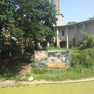 Old Lion Enclosure - Now Under Constuction