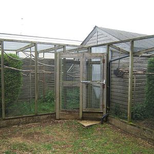 Marmoset House out door enclosures