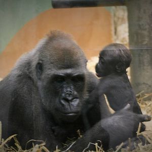 Tamani and her new baby.