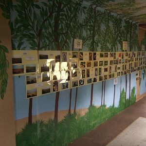 View of photo history display celebrating the zoo 25 years