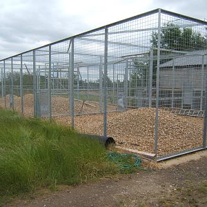 Holding cages for the Malayan Tigers