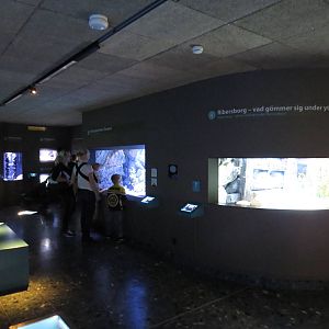 Marine exhibits, June 2015