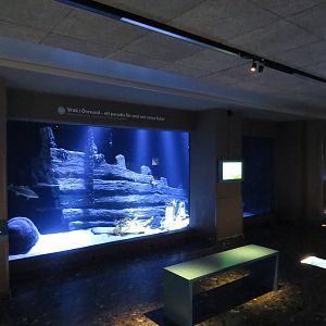 Main sea tank, June 2015