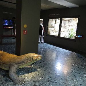 Monitor enclosures, June 2015