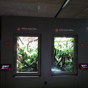 Same but different, June 2015