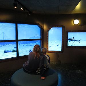Aquarium foyer, June 2015