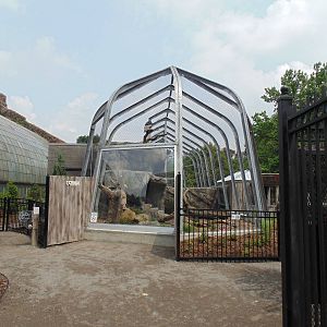 side view of New Andean Condor Exhibit
