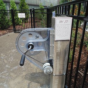 Interactive Water Wheel