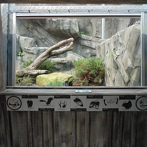 Glass Viewing for New Andean Condor Exhibit