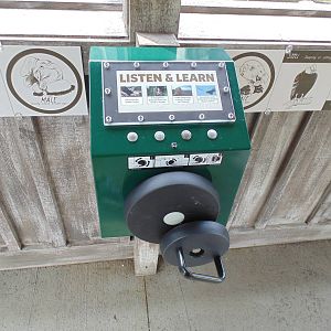 Interactive Talk Box