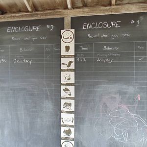 Interactive CHOC Board