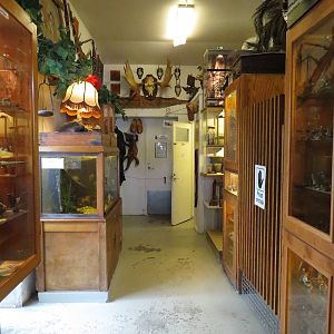 First passage, June 2015