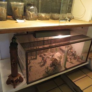 Wild west mini-diorama, June 2015