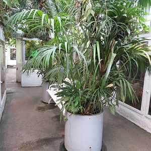 Primary hall, June 2015