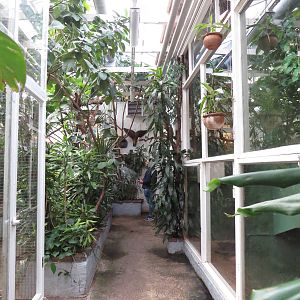 Marmoset/other enclosures, June 2015