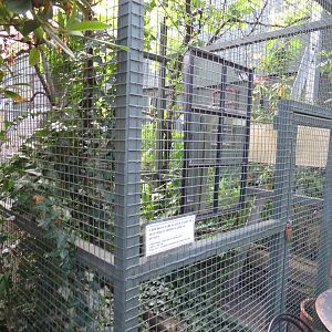 Human enclosure, June 2015