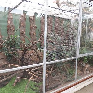 Chipmunk enclosure, June 2015