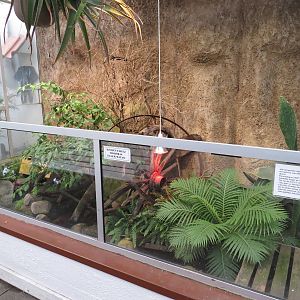 Wetland exhibit, June 2015