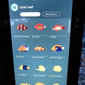 Example of interactive information panel, June 2015.