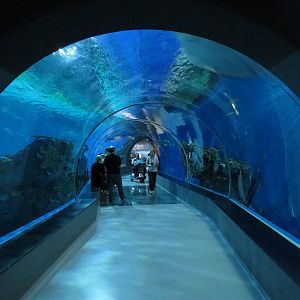 Underwater tunnel, June 2015.