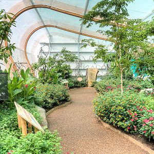 Butterfly House - 27/06/2015